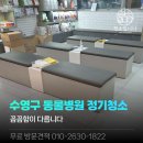 수영종합동물병원 | 부산 수영구 동물병원 정기청소 후기 – 꼼꼼함이 다릅니다