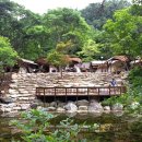 소백산 남천야영장1 이미지