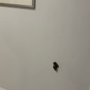 티(T) | [엄마랑 치앙마이 5박 7일] 올드타운 T.Heritage 티헤리티지 호텔 후기 (+주변 마사지샵 추천)