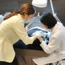 분당-395 이미지