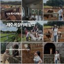 돌담목장 | 목장카페 밭디 다시 간 성산카페에서 승마한 후기