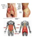 커넥트바디 이미지