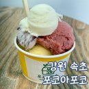 포코아포코 | 속초 아이스크림 맛있는 곳 포코아포코 내돈내산 후기