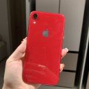 아이폰 XR 레드 (PRODUCT) RED 컬러 올드폰 구매 실물 후기 정보