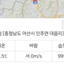 마미농장 이미지