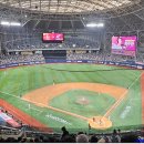 고척스카이돔 이미지