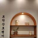 모악산호랭이 이미지