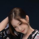 배진아 카카오 검색결과