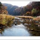 계곡의아침 이미지