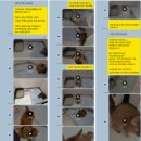 판교 P&P 동물병원 이미지