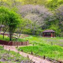 남도삼백리길(9코스) 이미지