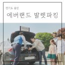 크린랜드 | 에버랜드 발렛 주차 예약 당일 출차 카카오