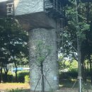 심리통계 이미지