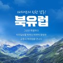 법인대자연