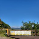 평지못(1) 이미지