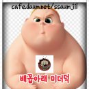 범고래가 바다의 양아치인 이유 이미지