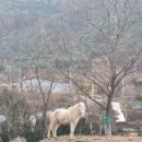 대승목장 이미지