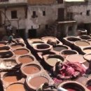 일급세탁소 이미지