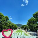 중앙교회 앞(대공원길) | 서울대공원 장미축제 &amp; 호수 둘레길 힐링 산책 코스 추천