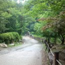 유명산골