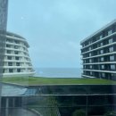 파르나스호텔노동조합 | 파르나스제주 프리미어킹 솔직후기💙 일반전망인데 오션뷰전망이라고?!