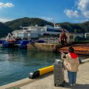 부산 | 대마도 배편 예약 티엔티 부산 노바호 후기