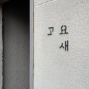카카오 이미지