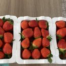 필봉농장 이미지