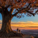 “이야, 사진작가는 확실히 손맛이 다르네” 2025 가을 단풍 사진 베스트 4 이미지