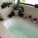 HOME SWEET HOME 이미지