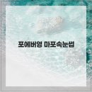 포에버시스템