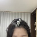 요즘은 빗꾸시대 하능 쓰다미 브러쉬, 뿌리볼륨핀셋 후기