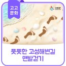 동호리체육공원 이미지