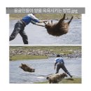 지이(G)모비스카 | 마음 편할 때 내 것 모두 담을 수 있는 곳