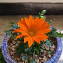 임종헌한의원 이미지