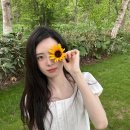 신시아 카카오 검색결과