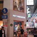 46차 시장조사 (애완동물 용품점 PET PARADISE,..) - 소호무역 도우미 코사카(KOSAKA) 반효천 이미지