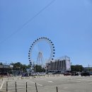 속초 실향민 문화축제 이미지