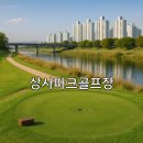 동일종합상사 | 상사파크골프장 날씨정보와 이용 팁 핵심 가이드