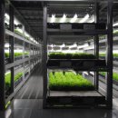 광원농장 이미지