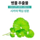 3초 연구소 이미지