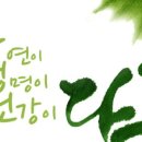 다옴협동조합 이미지