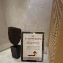 더허니까페 | 서울 호텔 빙수 여의도 메리어트 파크카페 허니 눈꽃 빙수 내돈내산 후기