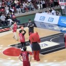 명진체육관 | 6강 플레이오프 3차전 직관, 안양 정관장 아레나 2층 센터석 시야 (모비스 4강 진출, 모비스 퇴근길 후기)