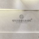 레이크동물의료센터 네이버블로그