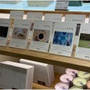 바라기한약국 - 강남구 학동로81길 9 | 바라기한약국