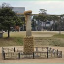 중앙동270 이미지