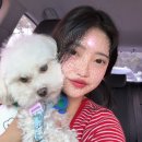 동남로29길 이미지