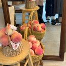 황무로 3 | 이천 카페 추천 | 아기자기한 포토존 가득한 카페복숭아 방문 후기