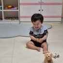 시온어린이집 이미지